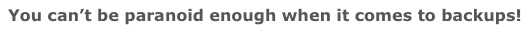 You can’t be paranoid enough when it comes to backups!